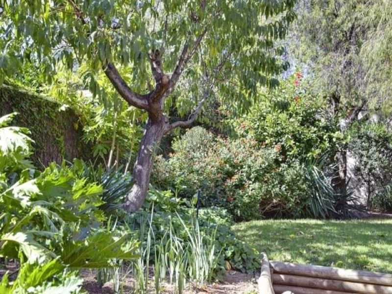 10 Devonshire Street, Walkerville SA 5081