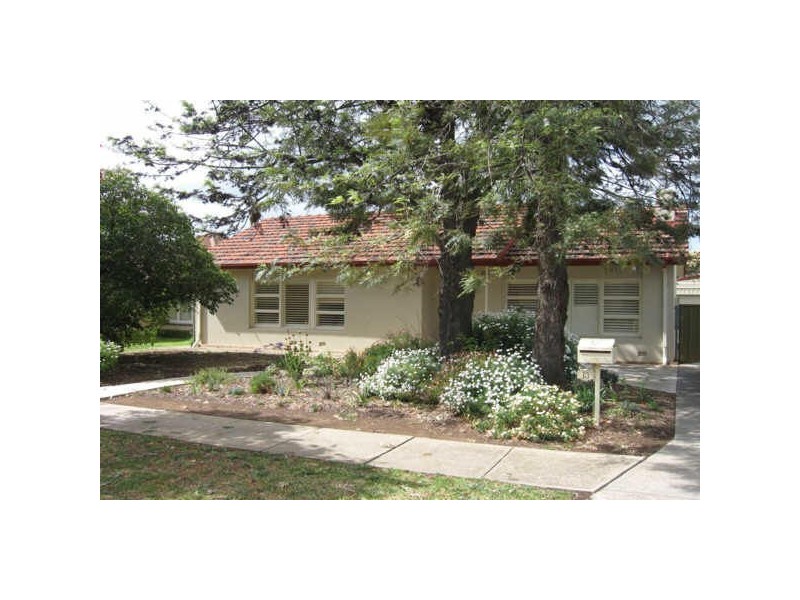 13 Rex Avenue, Klemzig SA 5087