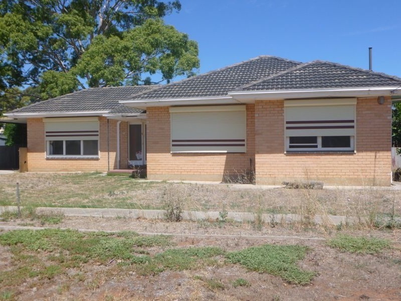 3 Jennifer Street, Paradise SA 5075