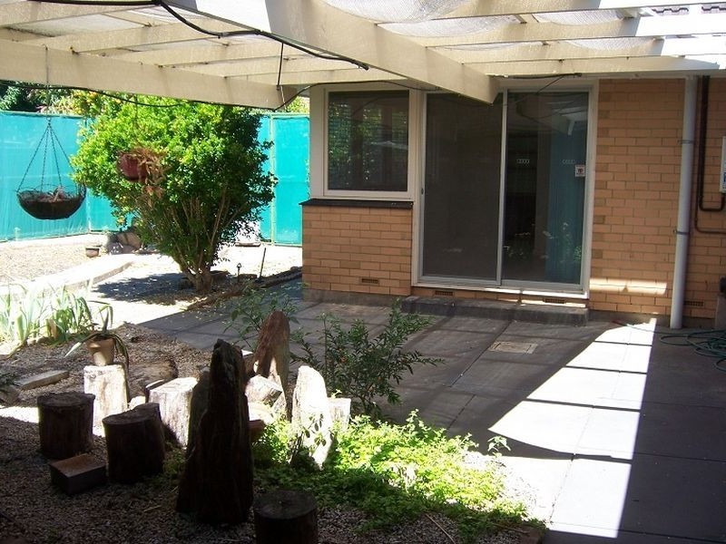 25 Abelia Avenue, Flinders Park SA 5025