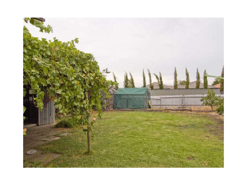 19 Hender Avenue, Klemzig SA 5087