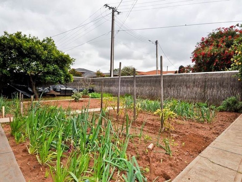 17 Swan Avenue, Klemzig SA 5087