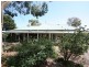 7 Murray Avenue, Klemzig SA 5087
