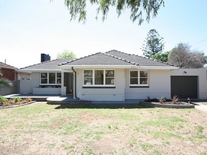 3 Henry Avenue, Manningham SA 5086