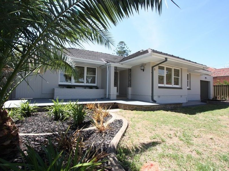 3 Henry Avenue, Manningham SA 5086