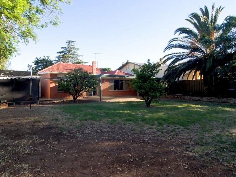 7 Dudley Avenue, Prospect SA 5082