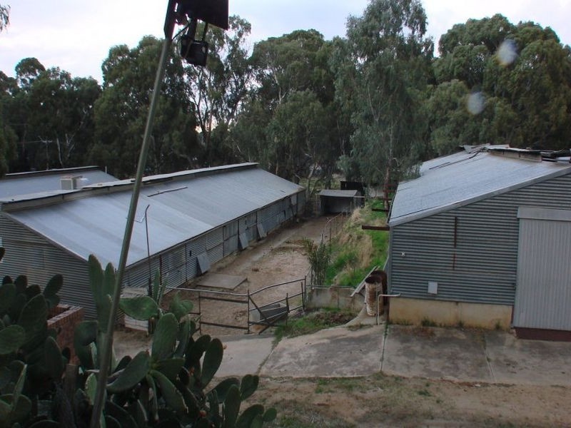 444 Yatala Vale Road, Yatala Vale SA 5126