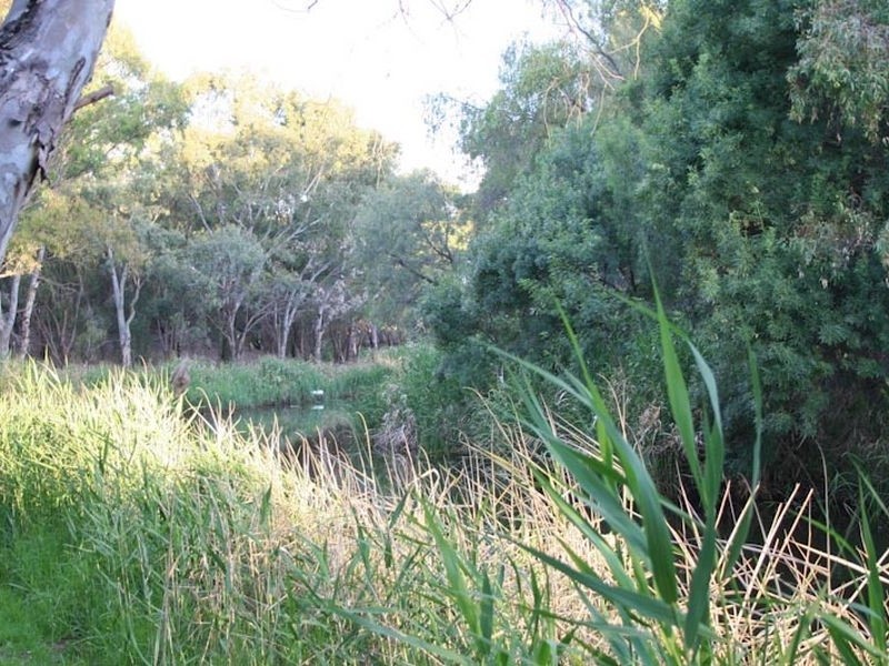 39a Kooralla Grove, Kidman Park SA 5025