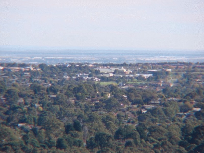 54 Wattle Crescent, Tea Tree Gully SA 5091