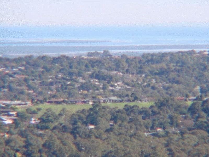 54 Wattle Crescent, Tea Tree Gully SA 5091