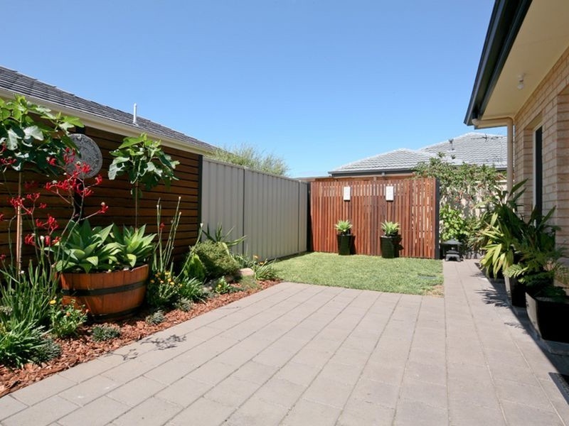 29 McShane Street, Campbelltown SA 5074