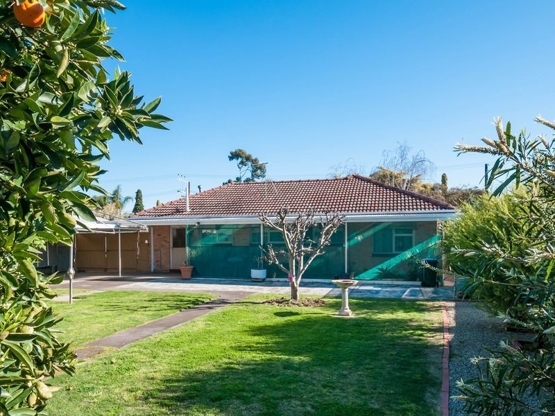 3 Norman Street, Paradise SA 5075