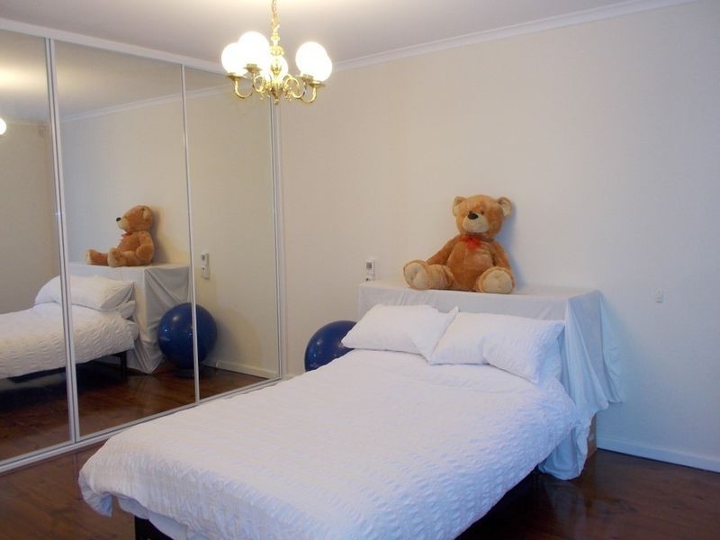 15 Curtin Lane, North Adelaide SA 5006