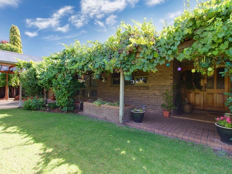 20 Whitbread Avenue, Klemzig SA 5087