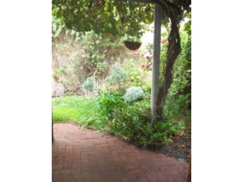 31 Provost Street, North Adelaide SA 5006