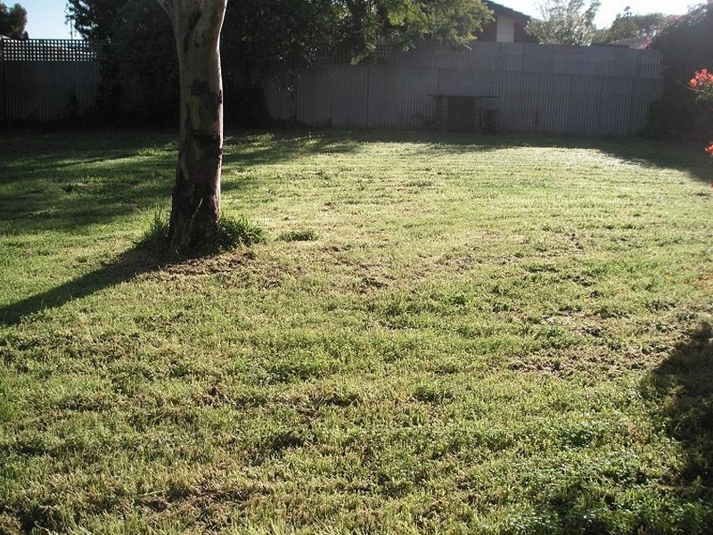 268 Milne Road, Modbury Heights SA 5092