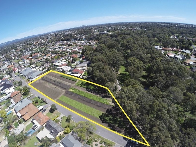 12 Lamary Avenue, Paradise SA 5075