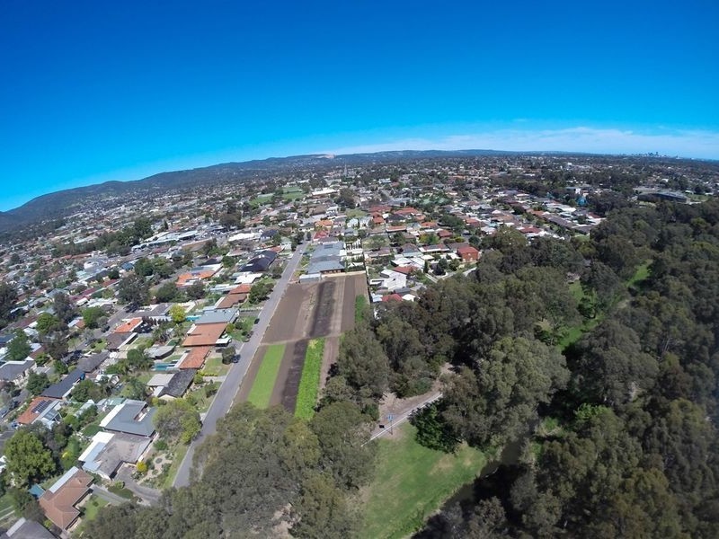 12 Lamary Avenue, Paradise SA 5075