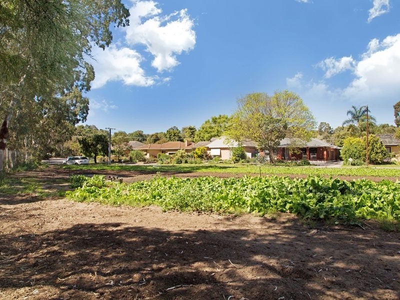 12 Lamary Avenue, Paradise SA 5075