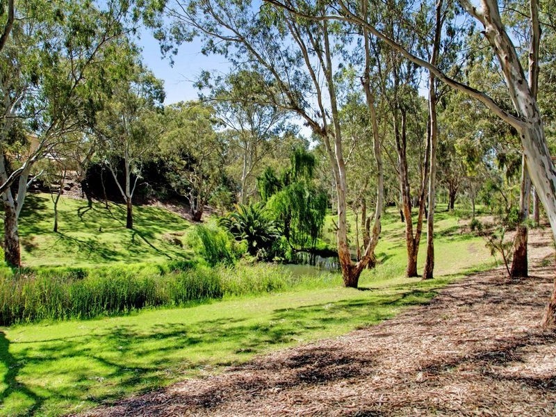 12 Lamary Avenue, Paradise SA 5075