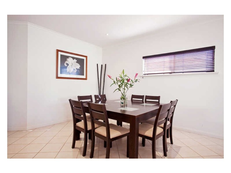 61 White Avenue, Lockleys SA 5032