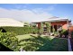 61 White Avenue, Lockleys SA 5032