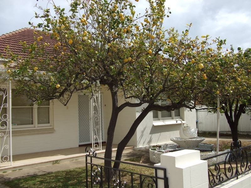 30 Dehaviland Avenue, Hendon SA 5014