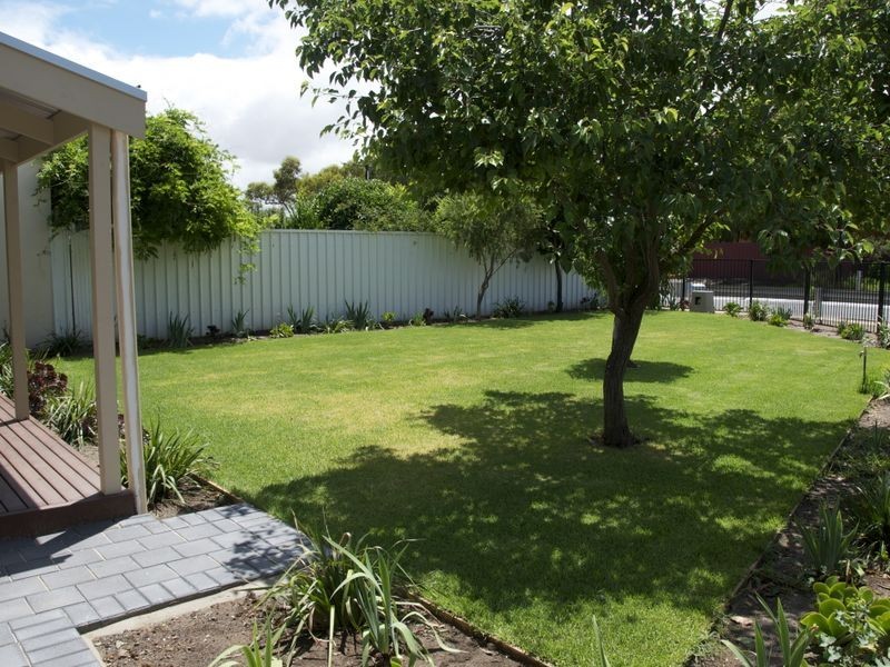31 Hendrie Street, Morphettville SA 5043