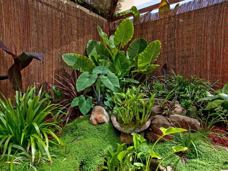 11A Alice Street, Rosewater SA 5013