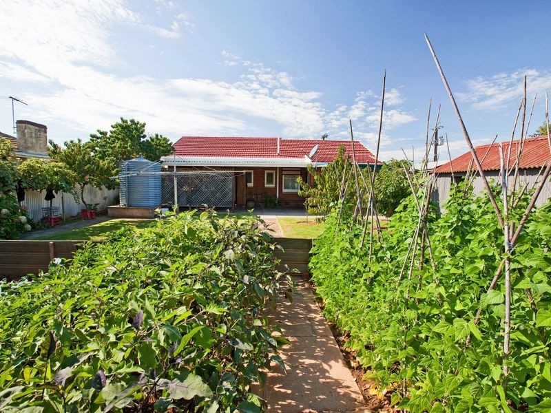 1 Broadford Crescent, Findon SA 5023