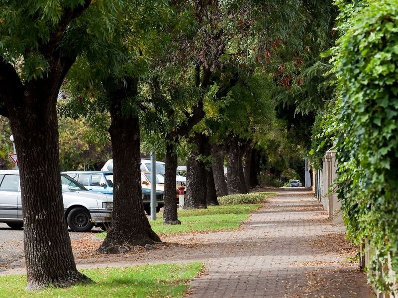 5/150 Childers Street, North Adelaide SA 5006