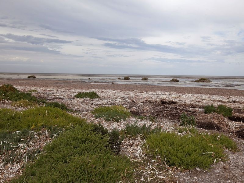 8 Shearwater Way, Thompson Beach SA 5501