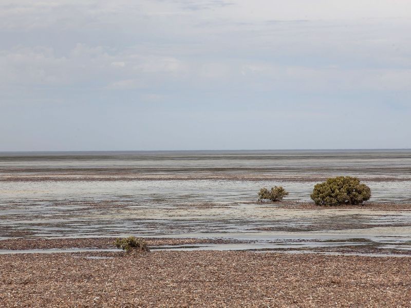 8 Shearwater Way, Thompson Beach SA 5501