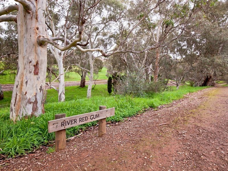 4 Tangerine Court, Golden Grove SA 5125