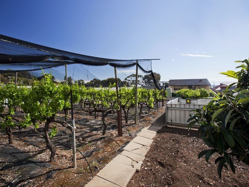 10 Toledo Court, Gulfview Heights SA 5096