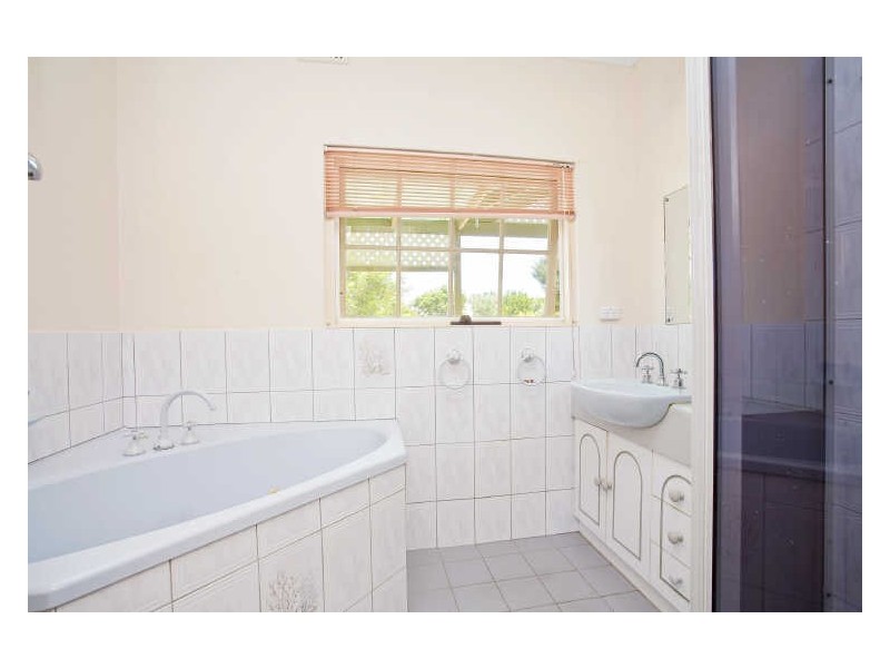 3 Collins Street, Edwardstown SA 5039