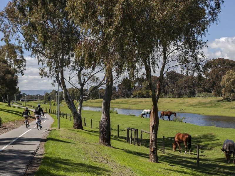 109 Halsey Road, Henley Beach South SA 5022