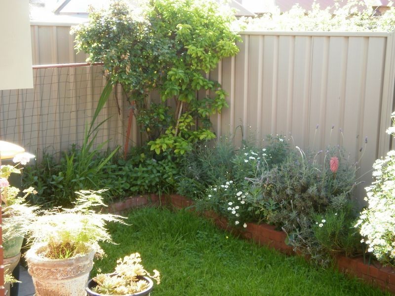 7/42 Alpha Road, Prospect SA 5082