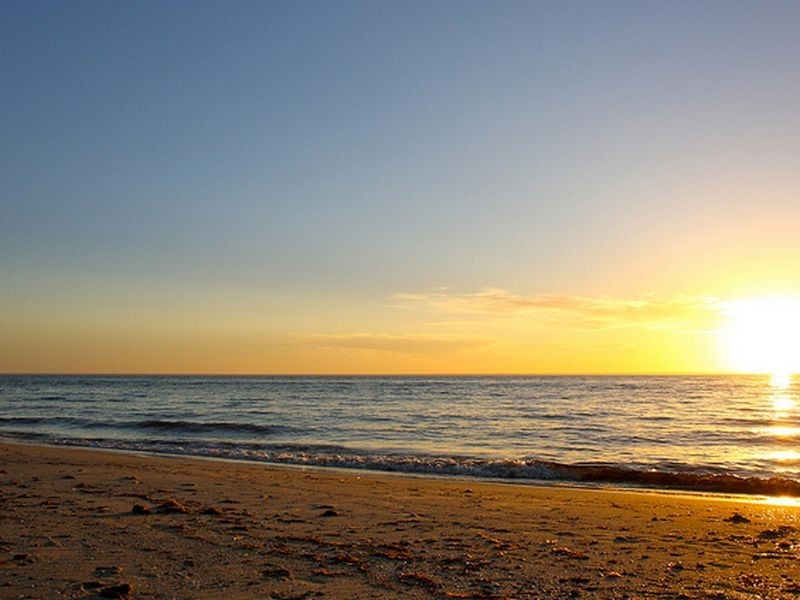 52 Sandpiper Place, West Lakes Shore SA 5020