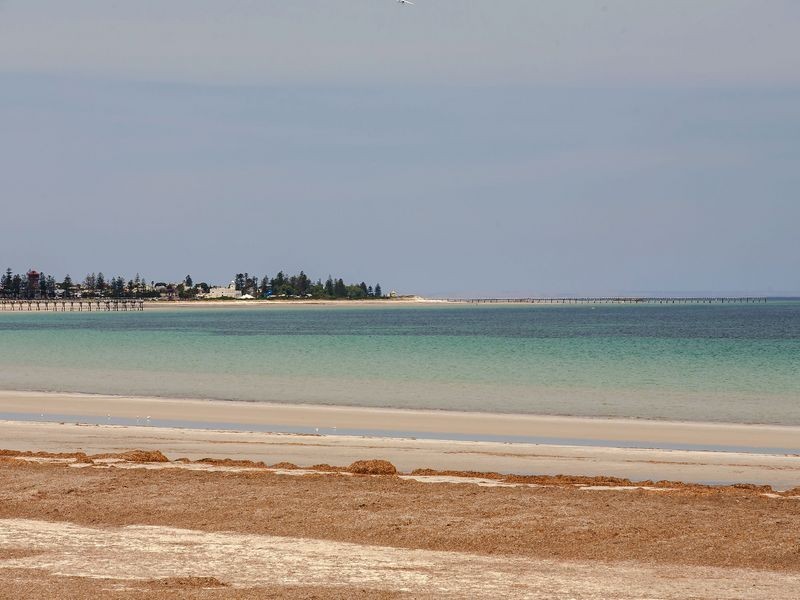 38 Cooroyba Court, North Haven SA 5018