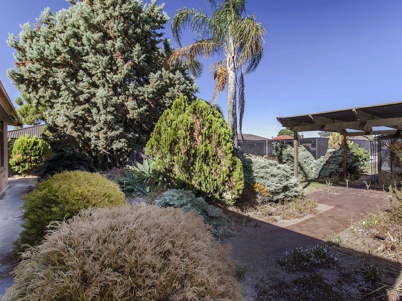 14 Hawkins Avenue, Flinders Park SA 5025