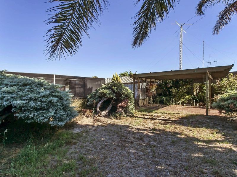14 Hawkins Avenue, Flinders Park SA 5025