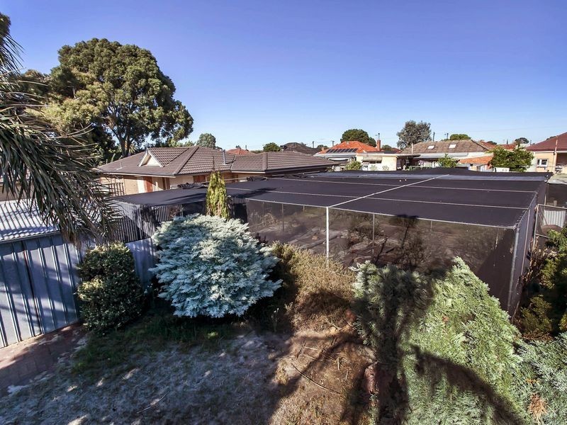 14 Hawkins Avenue, Flinders Park SA 5025