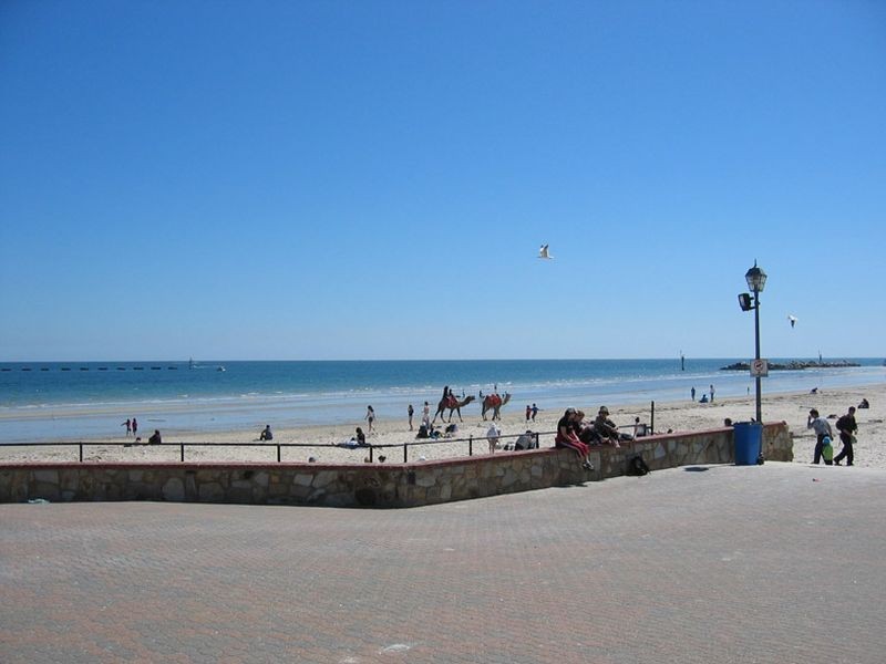 3/95 Military Road, West Beach SA 5024