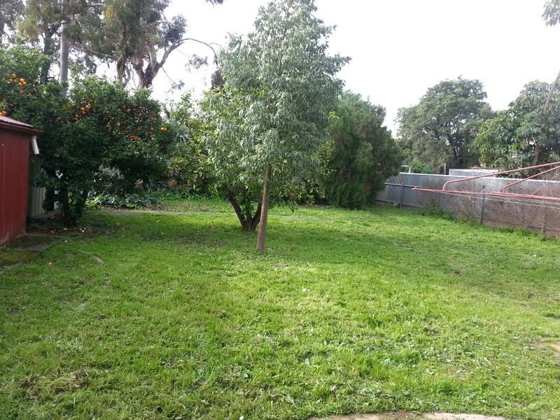 3 Coulter Street, Elizabeth Park SA 5113
