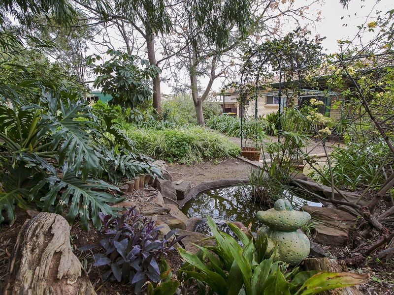 14 Galatea Street, Hallett Cove SA 5158