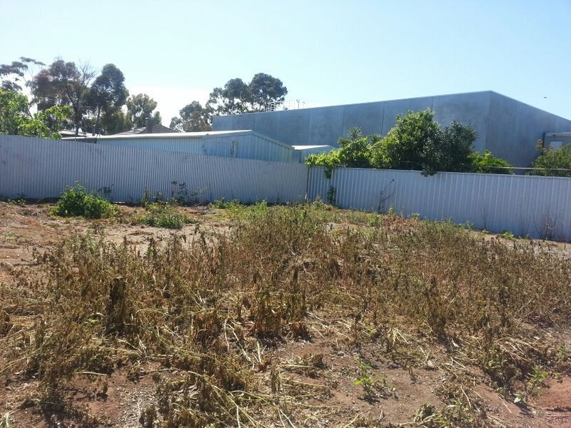 Lot 81/8a Alice Street, Findon SA 5023