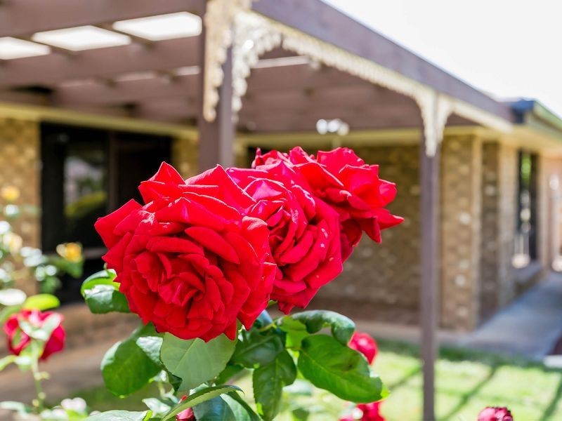 17 Santander Drive, Paralowie SA 5108