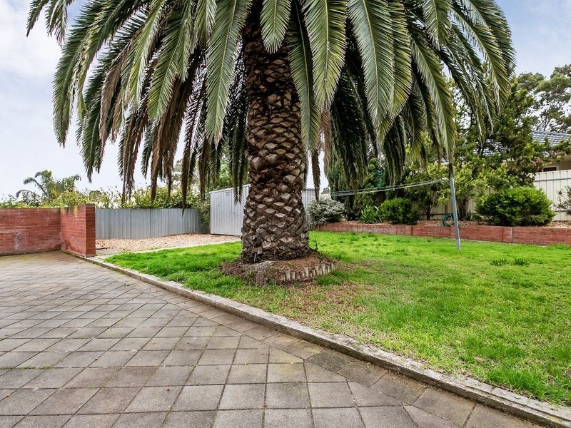 16 Wendy Avenue, Valley View SA 5093