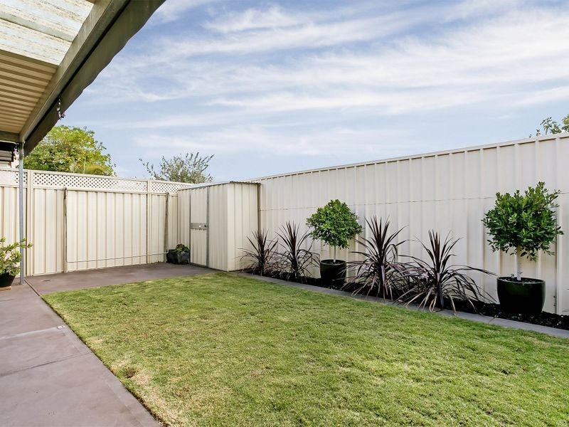 6 Collingwood Avenue, Flinders Park SA 5025